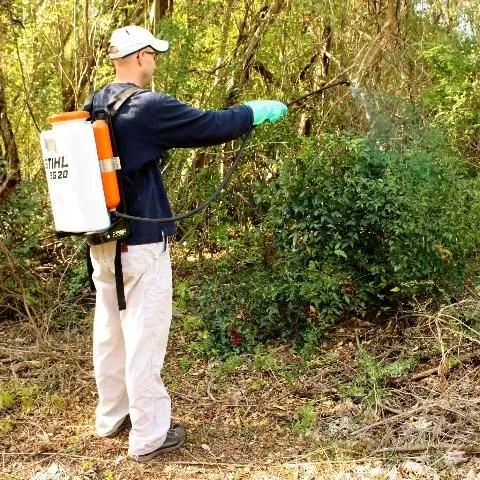 thumbnail for publication: Herbicide Application Techniques for Woody Plant Control